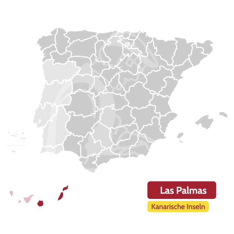Canary-Palmas