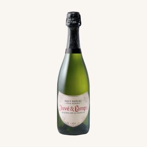 Juvé & Camps Reserva de la Familia sparkling wine Brut Nature, D.O. Cava, from Catalonia, bottle 75cl